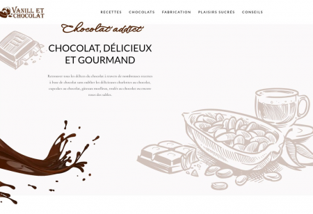 https://www.vanilletchocolat.fr/