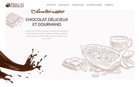 https://www.vanilletchocolat.fr/